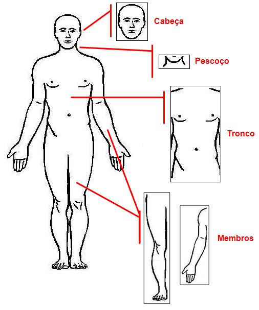 Como desenhar o corpo humano