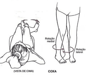 Movimentos Do Corpo Humano – Anatomia Papel E Caneta