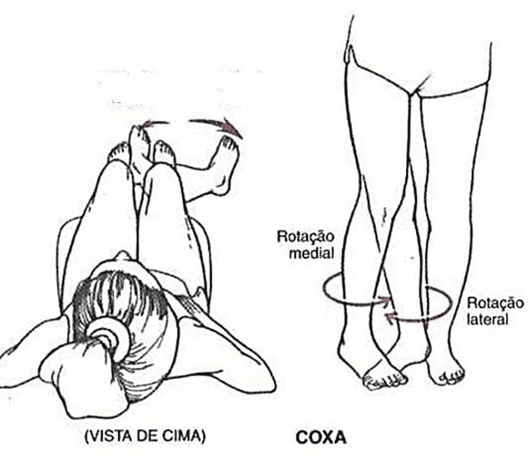 Movimentos Do Corpo Humano Anatomia Papel E Caneta