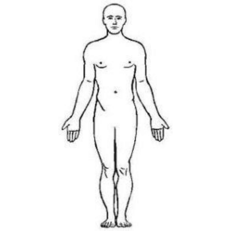 Divisão do corpo humano – Posição anatômica e planos de secção ...